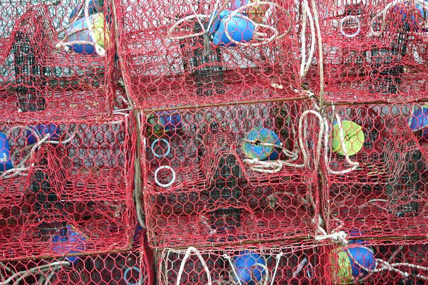 商业渔业文化龙虾码头餐厅钓鱼藤壶食物动物海鲜海岸线图片