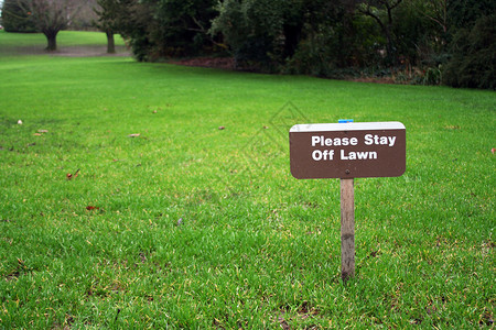 离堆公园离我远点草地场地公园绿色树木花园警告停留背景