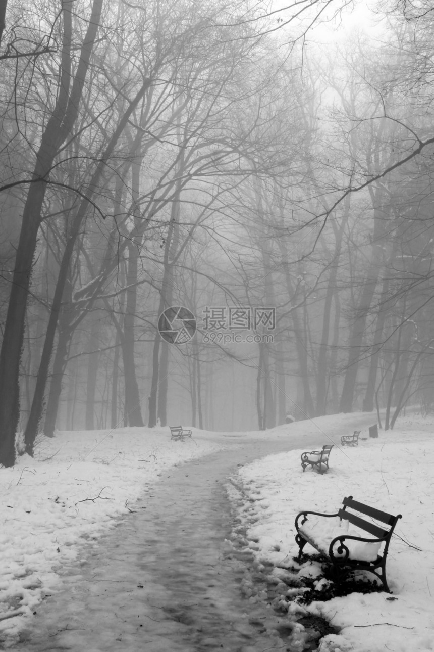 冬天公园季节森林木头雪景捷径国家车道旅行游客图片