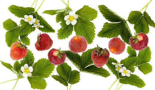 草莓装饰品背景图片