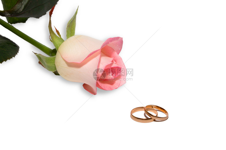 玫瑰和结婚戒指庆典订婚婚礼金子花瓣团结粉色图片