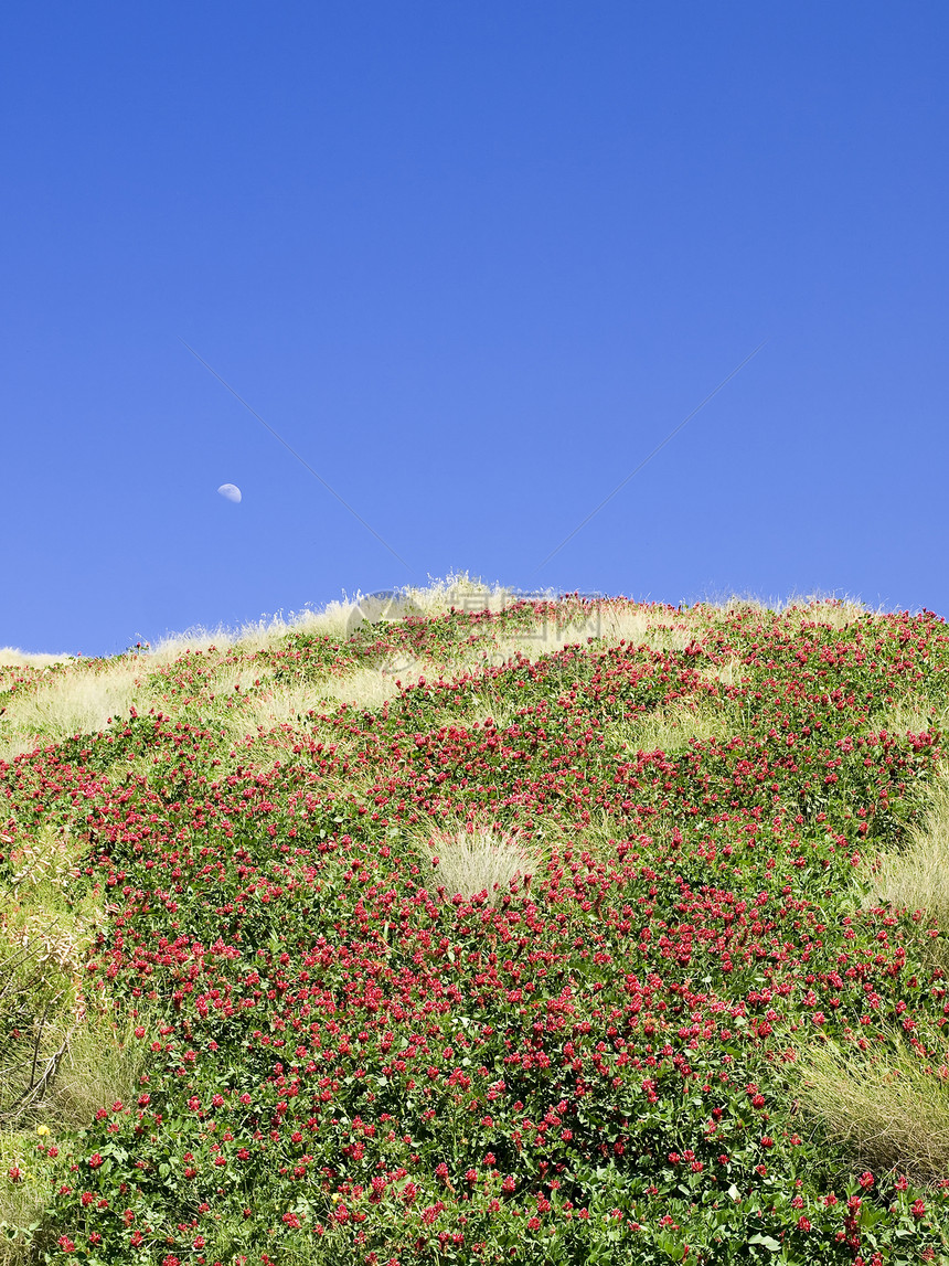 春天的欢乐农村概念牧场环境草原场地风景爬坡明信片天空图片