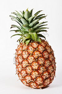 菠萝营养热带食物植物水果饮食背景图片