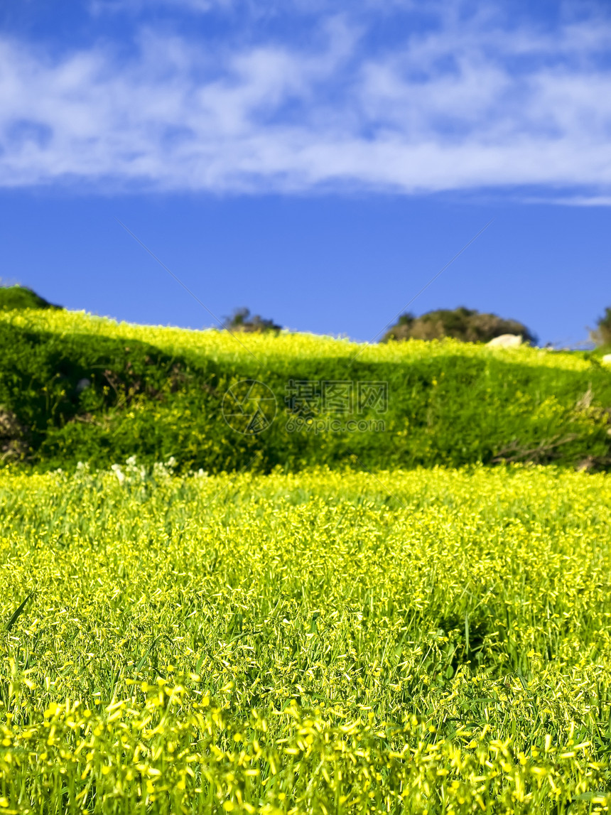 春天的欢乐明信片草原季节生态绿色风景冒险气候牧场农村图片