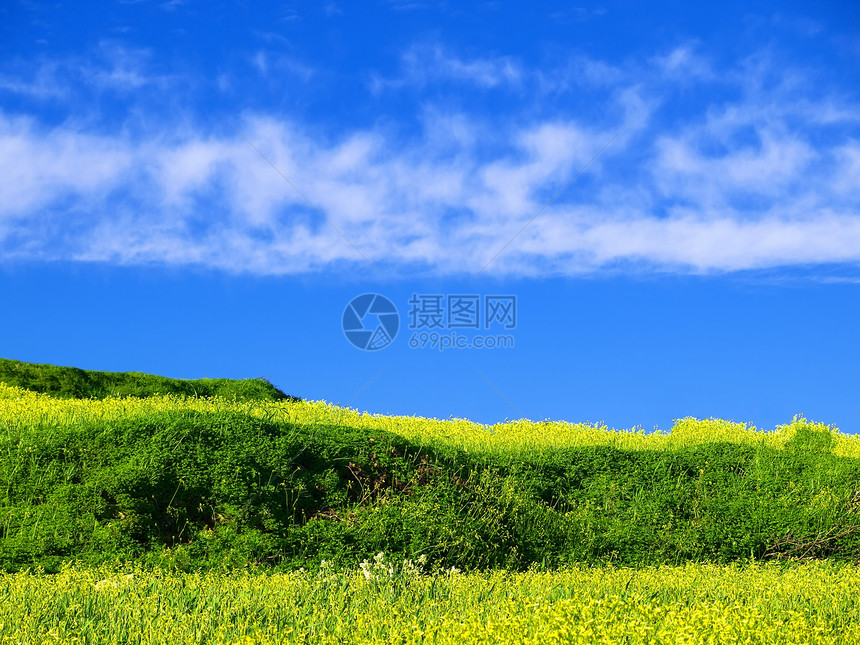 春天的欢乐风景场地冒险爬坡绿色植物概念绿色明信片生态季节图片