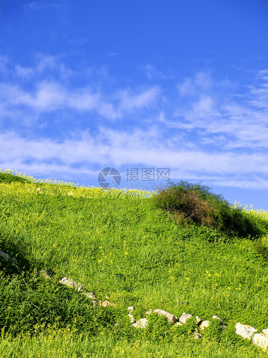 春天的欢乐明信片生态农村概念风景爬坡场地环境草原气候图片