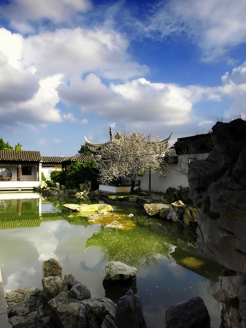 亚洲花园植物学历史性冥想旅行建筑学天空庭院寺庙植物叶子图片