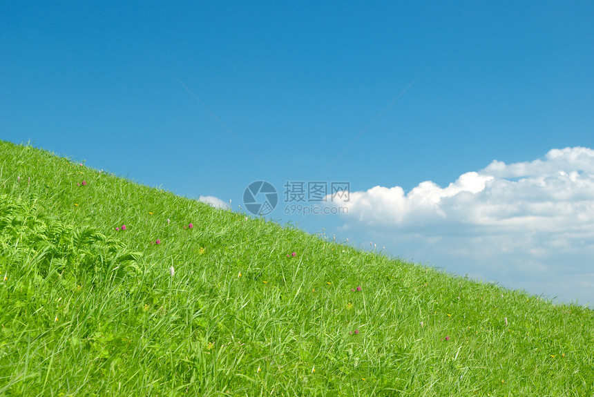 美丽的绿色绿草地 有白云图片