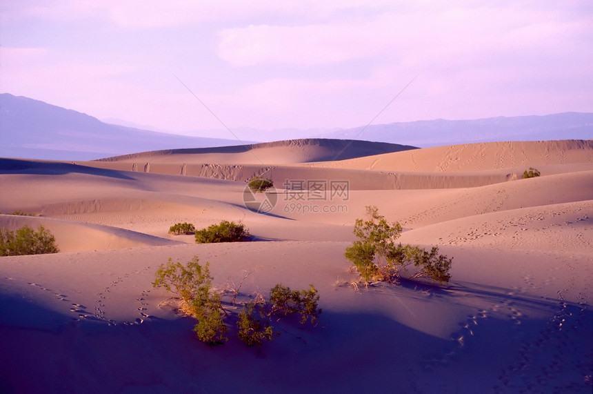 死亡谷海拔沙漠山脉温度旅行死亡游客公园猫头鹰头国家图片
