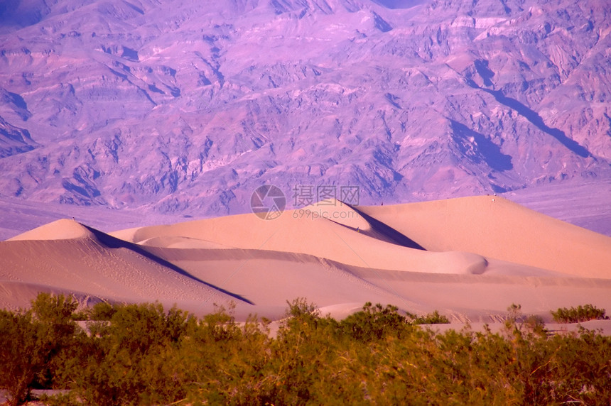 死亡谷盆地公园沙漠旅行游客温度海拔死亡猫头鹰头国家图片