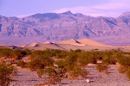 死亡谷死亡游客公园山脉旅行国家温度沙漠猫头鹰头海拔高清图片