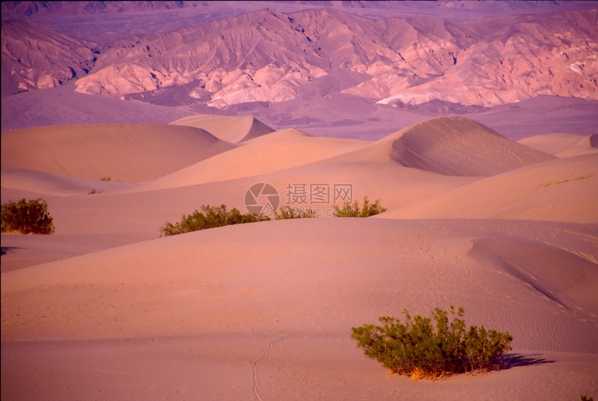 死亡谷死亡国家盆地旅行山脉海拔猫头鹰头温度公园游客图片