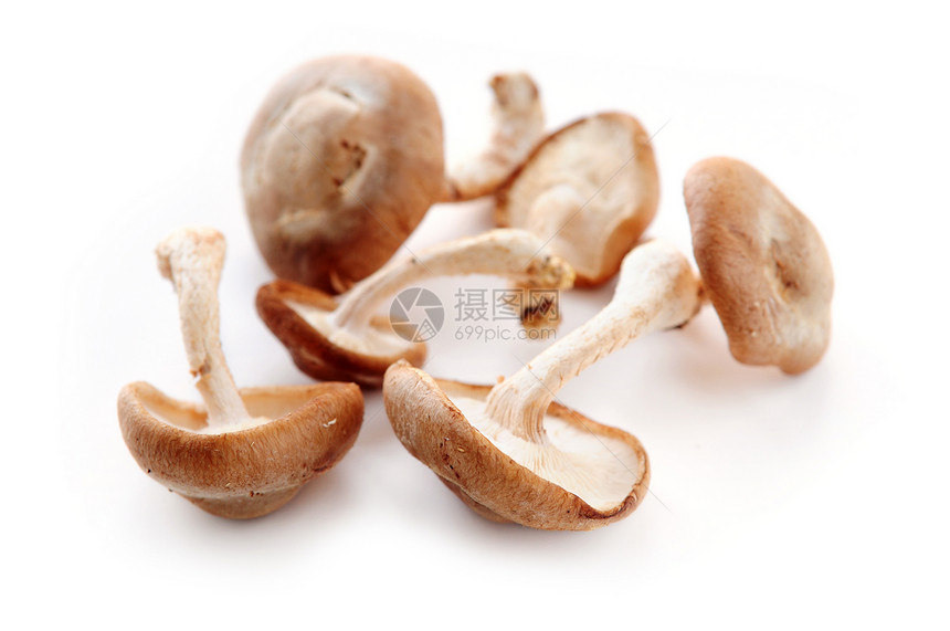 蘑菇药品生产异国康复食品培育蔬菜食物白色烹饪图片
