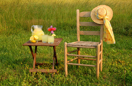 柠檬帽子针垫场地草地围巾眼镜桌子花瓶花朵喷口高清图片