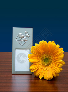 相片框和花朵框架蓝色打印照片桌子木头背景图片