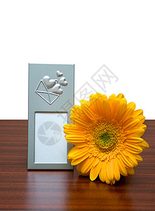 相片框和花朵框架桌子打印木头照片白色背景图片