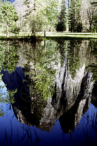 约瑟米特巨石花岗岩森林背景图片