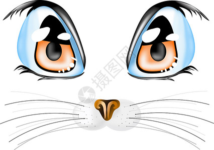 猫类宠物猫咪动物插图蓝色橙子卡通片鼻子微笑背景图片
