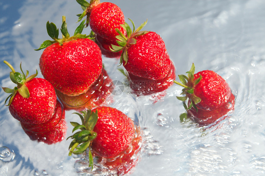 草莓阳光浆果宏观水果甜点早餐种子蓝色农业植物图片