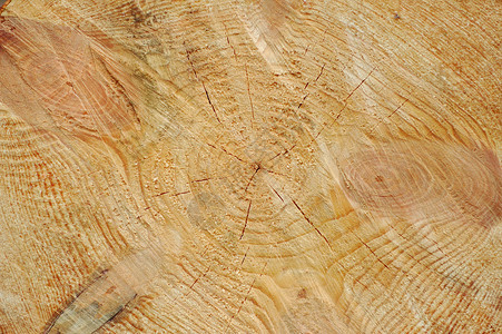 纹质谷物粮食木板木纹木头单板背景图片