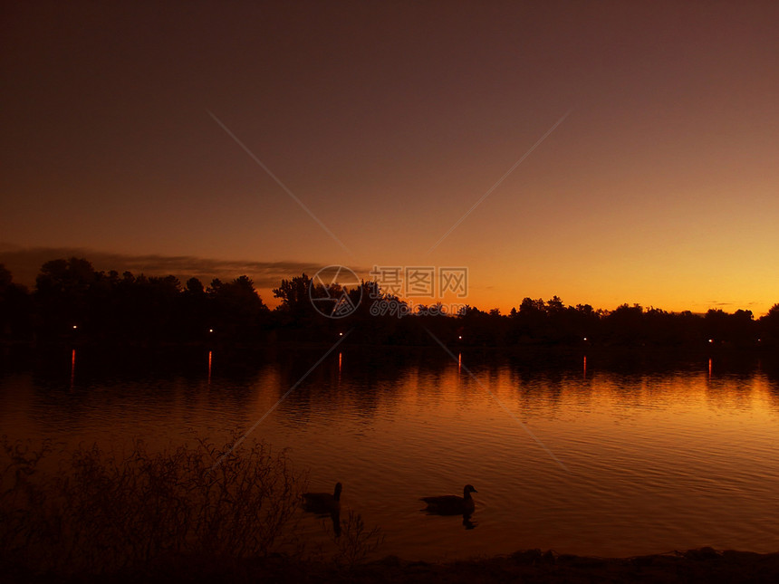 橙色日出 湖上有鸭子图片