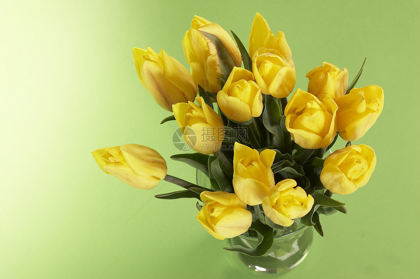 一堆鲜花花束花瓶居住玻璃花朵铭文黄色绿色图片