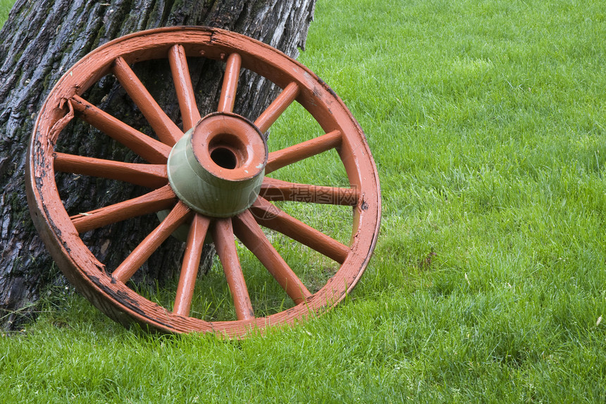 旧车轮历史先锋树干橙子农场牧场轮毂车皮乡村绿色图片