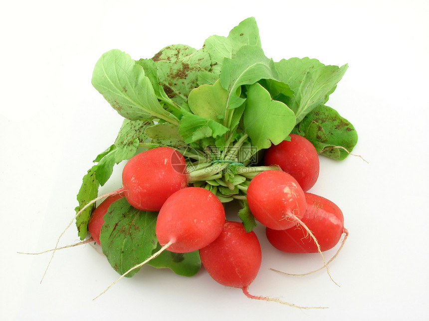 半紫沙拉红色青菜收成食物蔬菜绿色季节饮食营养图片