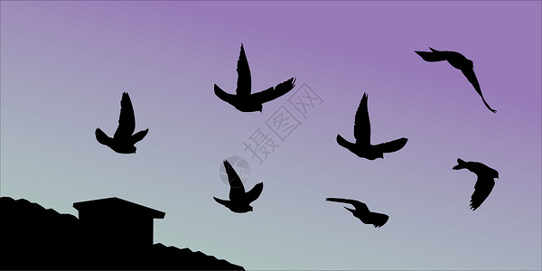 矢量飞鸟自由天空紫色蓝色鸽子黑色剪影背景图片
