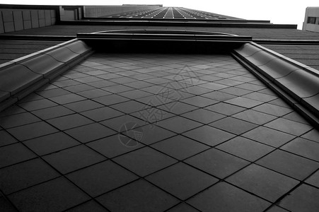 芝加哥建筑办公室建筑学水泥黑与白摄影钻石奢华背景图片