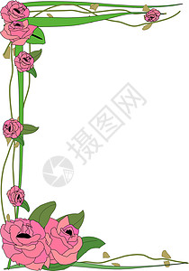 高玫瑰边境玫瑰粉色藤蔓高清图片