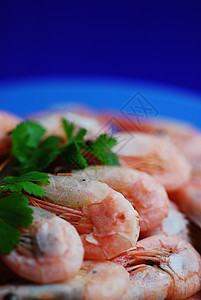 虾海洋盘子营养食物解析红色黄色海鲜美食节食背景图片