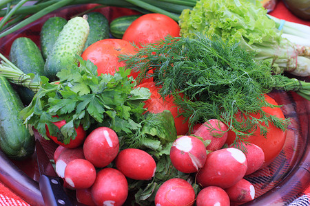 配蔬菜板黄瓜茴香盘子香菜萝卜背景图片
