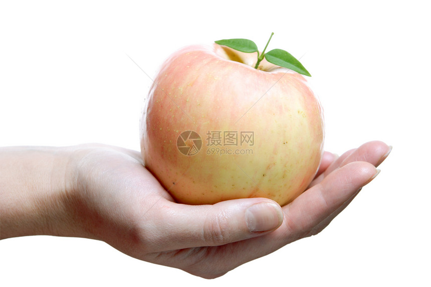 水果 棕榈玫瑰苹果图片