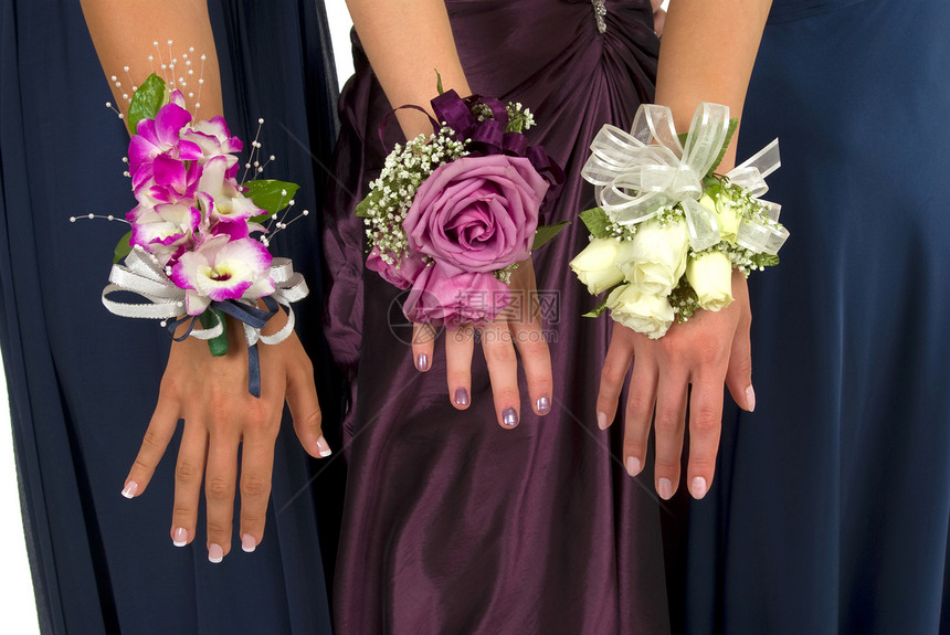 压量女性美甲植物学传统热带裙子丝带玫瑰花瓣花店图片