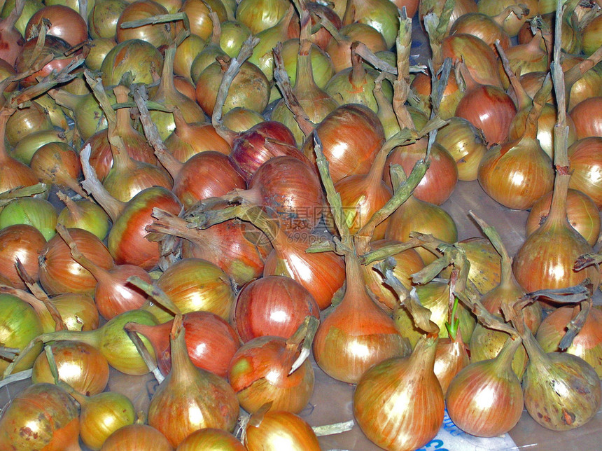 洋葱叶子沙拉胡椒市场农学厨房水果花园饮食美食图片