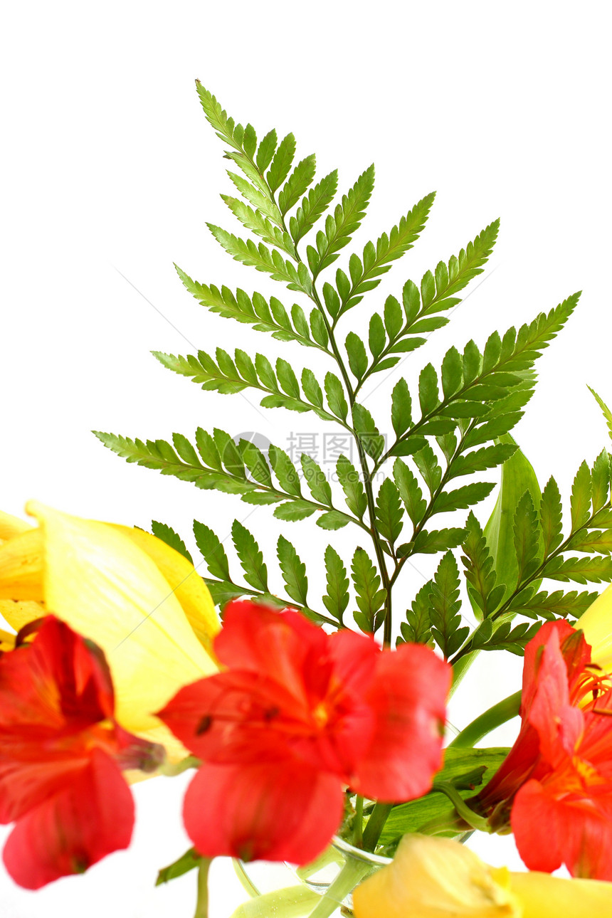 Lilies和Fern 树叶花店异国红色黄色绿色艺术花瓶植物群植物花束图片