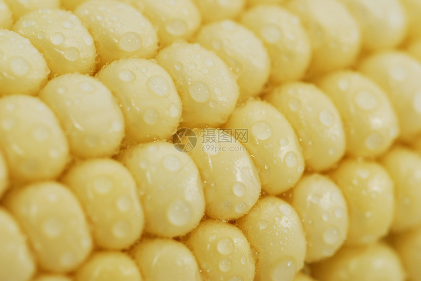 新鲜玉米宏观流行音乐食物玉米芯爆米花棒子金子主食植物迷宫图片