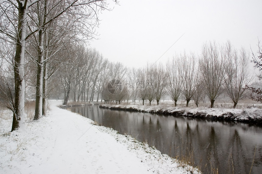 冬季风景树木农村溪流乡村风光季节性降雪柳树白色田园图片