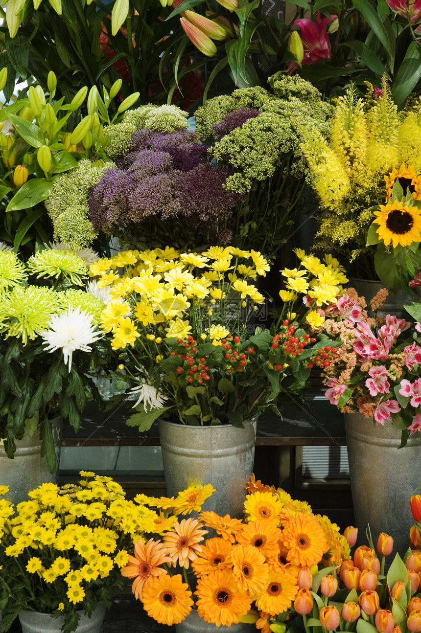 街头商店城市花盆阳光花束植物市场店铺玫瑰图片