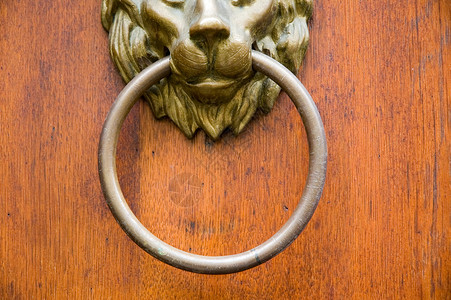 金属敲门器入口木头棕色狮子金属黄铜住宅背景图片