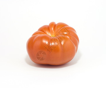 白上孤立的番茄红色养分白色健康饮食饮食生活方式食物蔬菜背景图片
