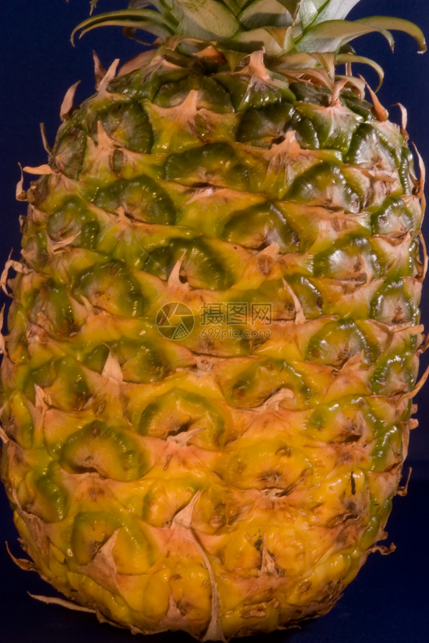 阿纳纳斯科莫苏斯养分菠萝松树宏观小吃果汁热带凤梨地区代谢图片