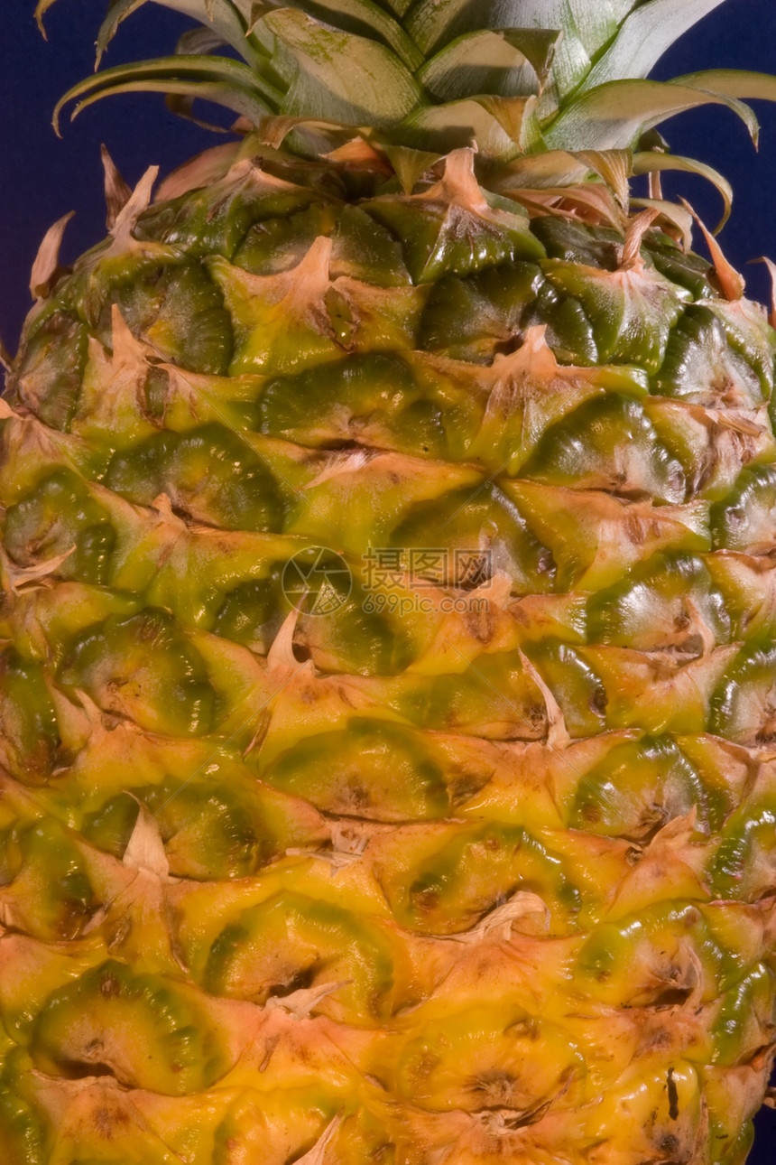 阿纳纳斯科莫苏斯凤梨情调甜点热带菠萝松树锥体地区饮食植物图片