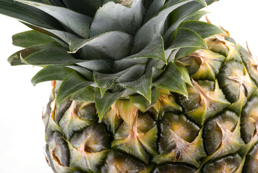 菠萝的一部分图片