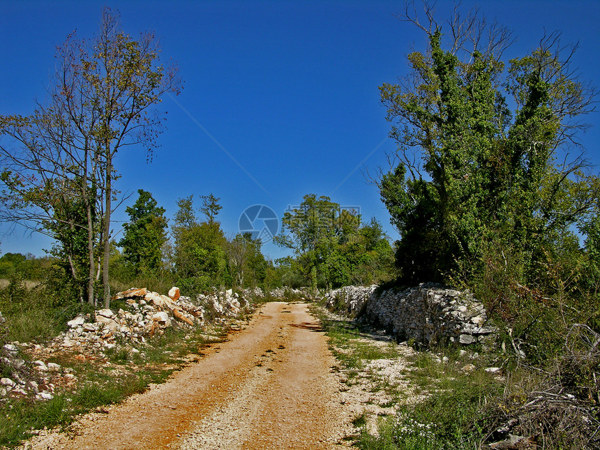 选择道路草地胡同小路路线植物群场地鹅卵石树干木头环境图片