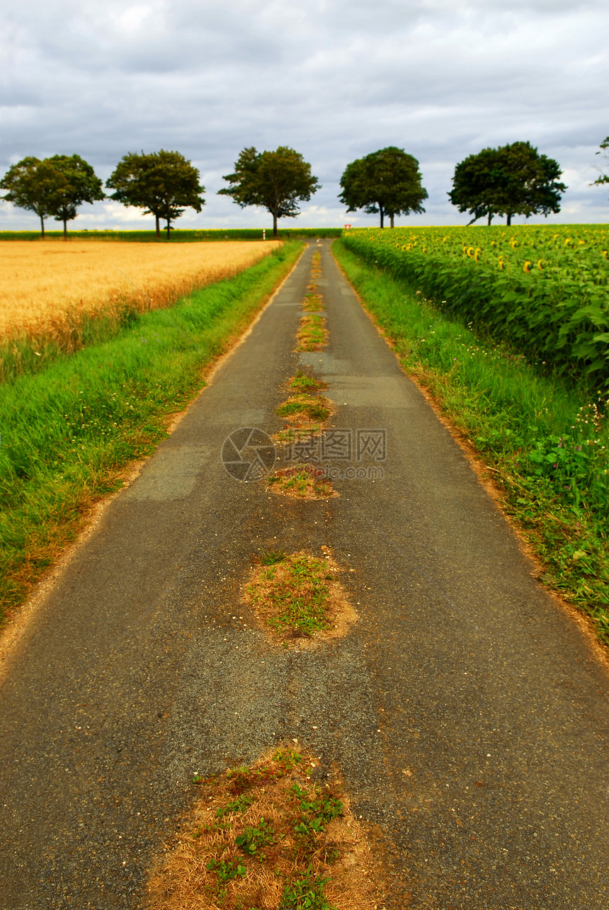 法国农村道路图片