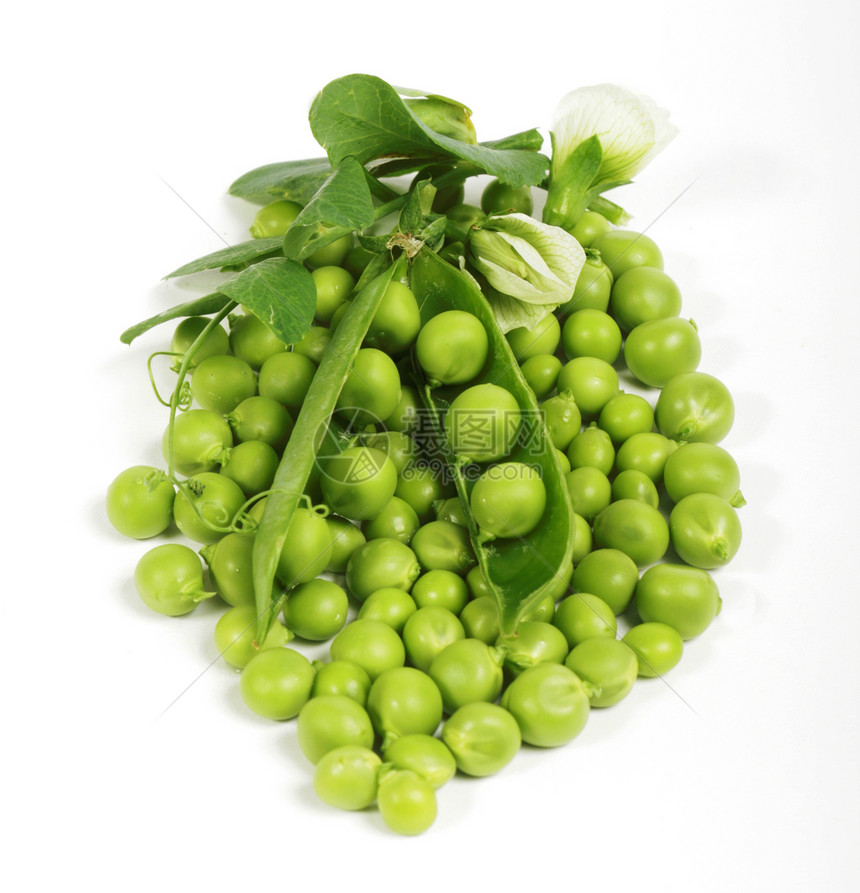 新鲜绿豆植物食物圆形花园营养豆类维生素健康粮食饮食图片