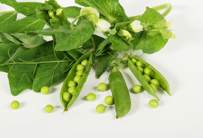 绿豆绿色食物饮食健康营养植物圆形生产维生素蔬菜图片