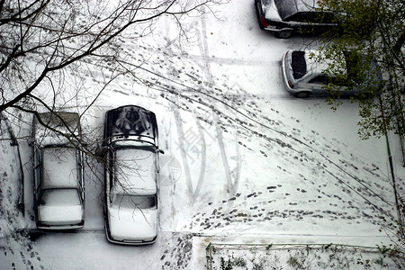 第一场雪白色灰色树木痕迹背景图片